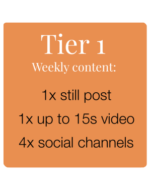 Tier 1