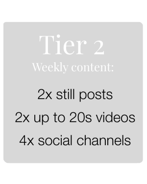 Tier 2