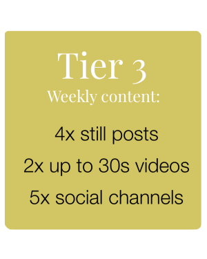 Tier 3