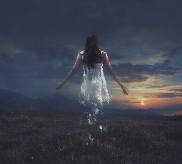 2026: The Year of AI and How to Not Let Your Business Fade Away